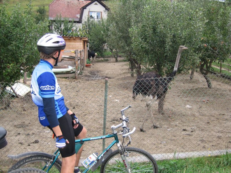 Kliknutím na obrázek se okno zavře